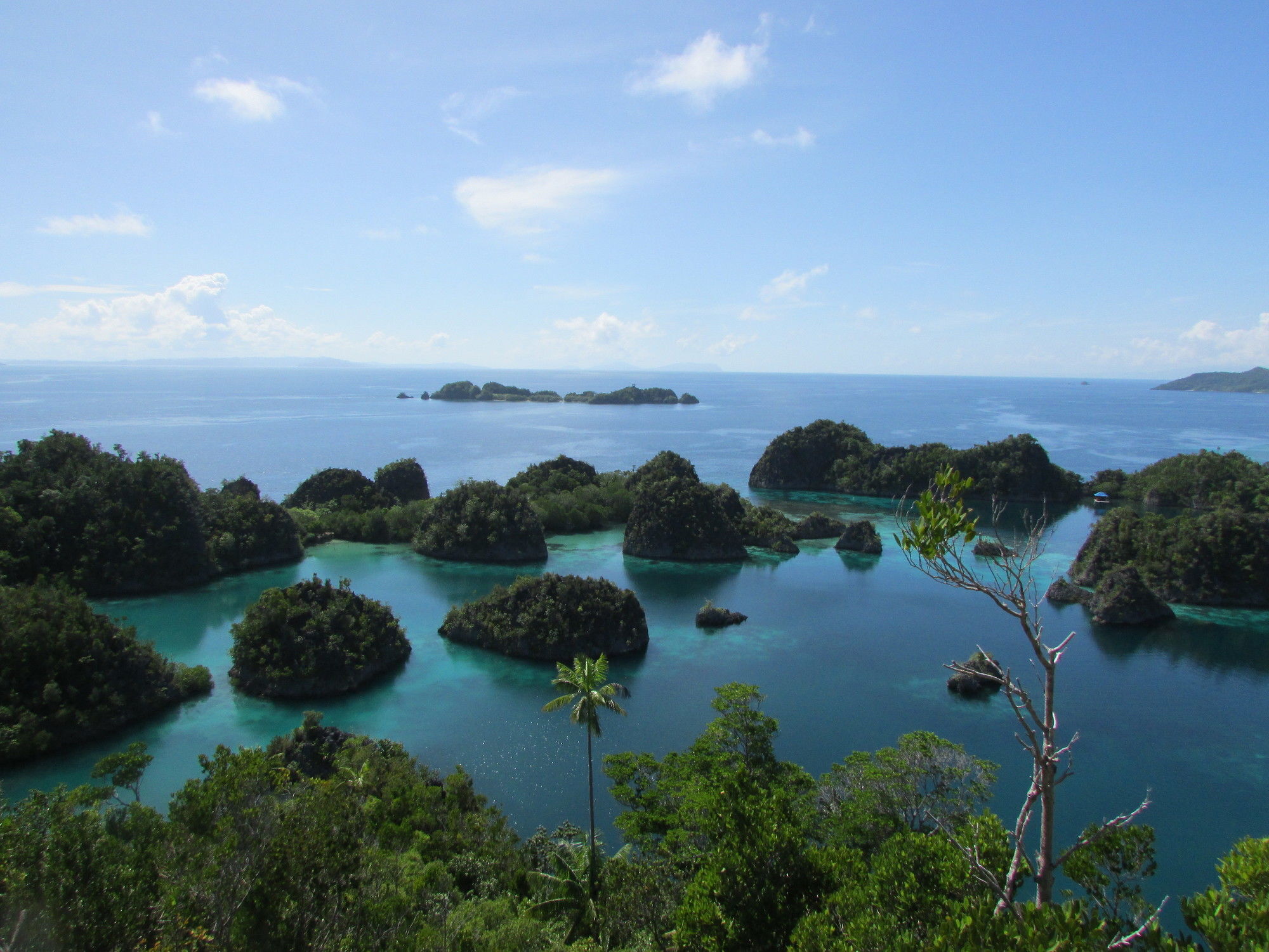 Swiss-Belhotel Sorong Zewnętrze zdjęcie